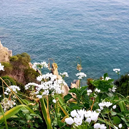 Grand Dei Castelli 4* Sestri Levante
