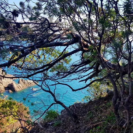 Otel Grand Dei Castelli 4*